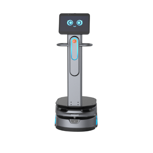 CarryBot 1
