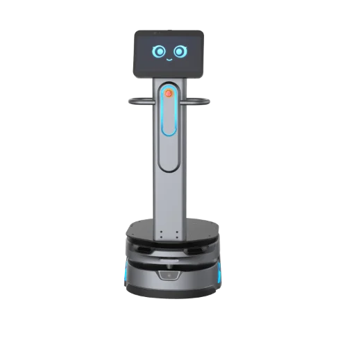 CarryBot 1