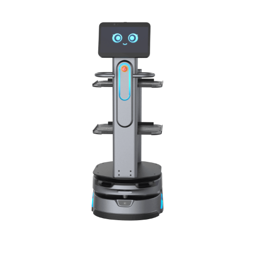 CarryBot 2