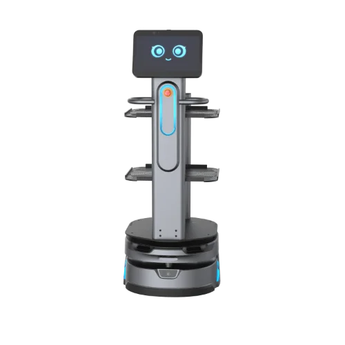 CarryBot 2